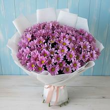 Букет цветов из:  Хризантемы в Красноярске