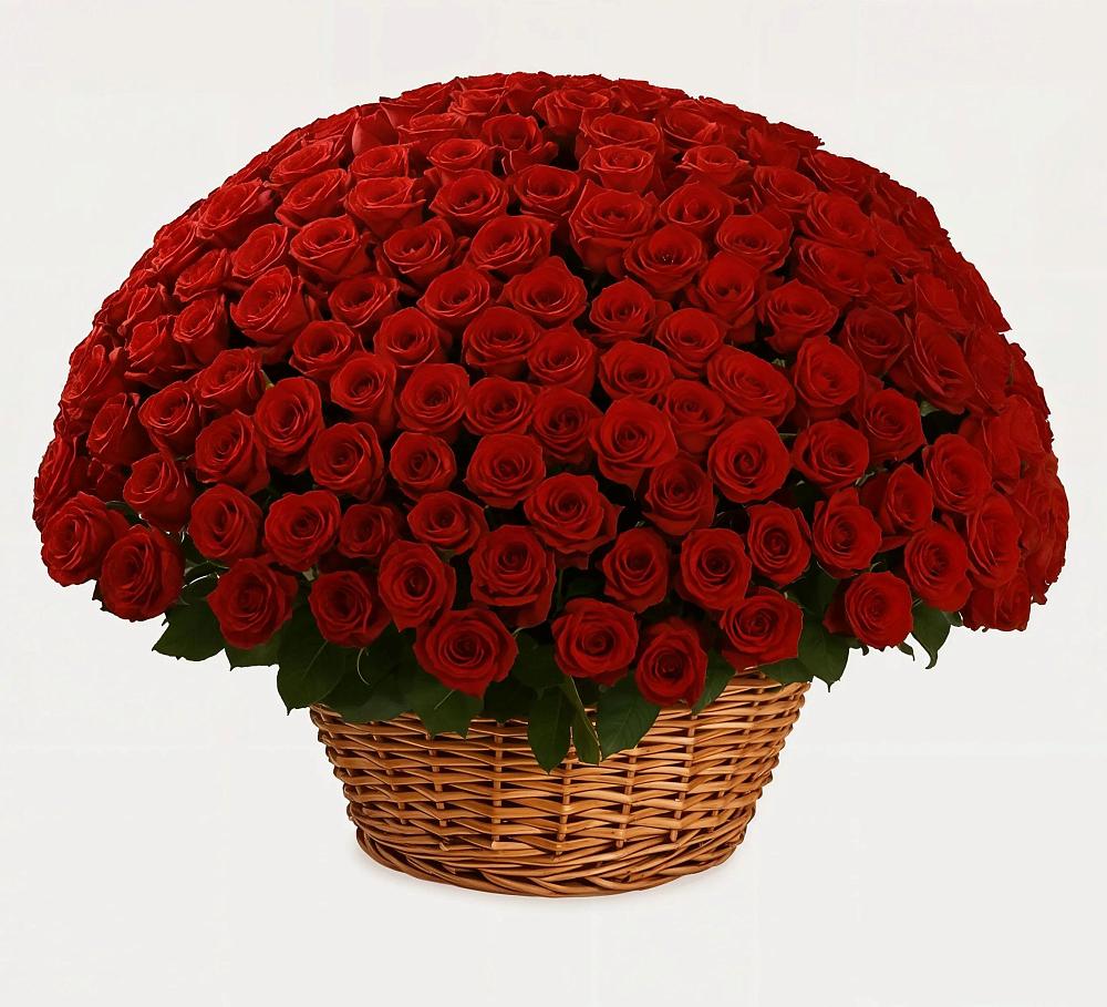 251 Премиум красная роза в Красноярске Премиум букет из: Розы в Красноярске