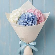 Букет цветов из:  Гортензия в Красноярске