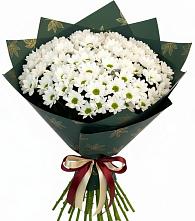 Букет цветов из:  Хризантемы в Красноярске