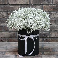 Цветочная композиция из Гипсофила в шляпной коробке в Красноярске