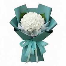 Букет цветов из:  Гортензия в Красноярске